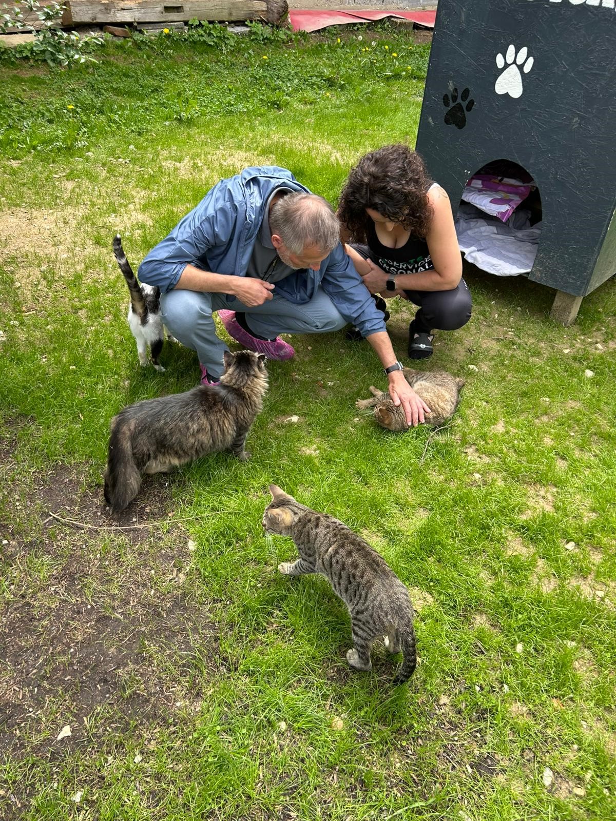 zum Vergrößern bitte klicken Foto 4