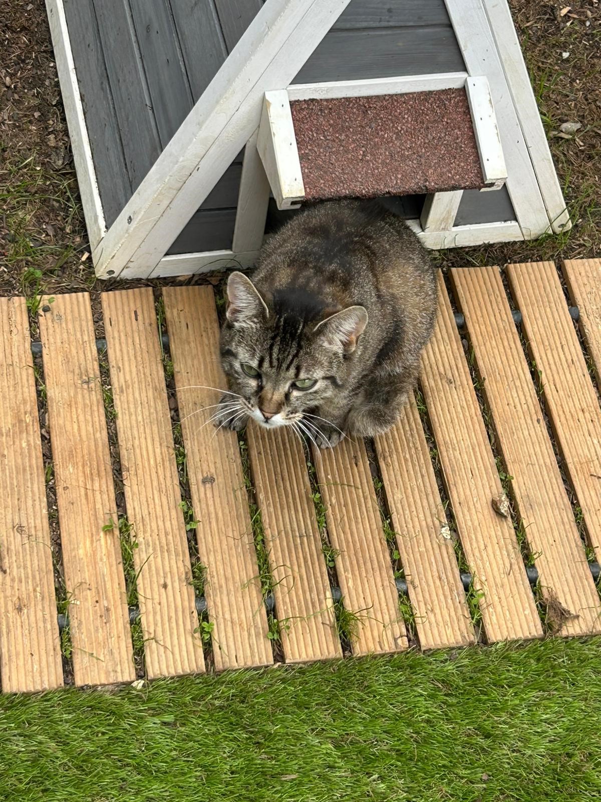zum Vergrößern bitte klicken Foto 5